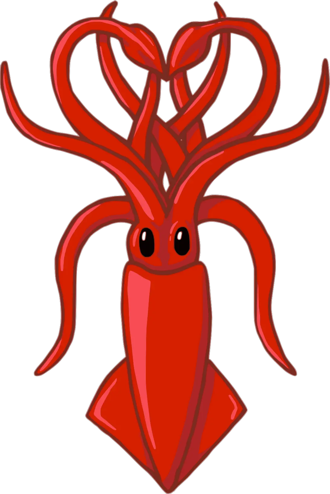 Squid PNG