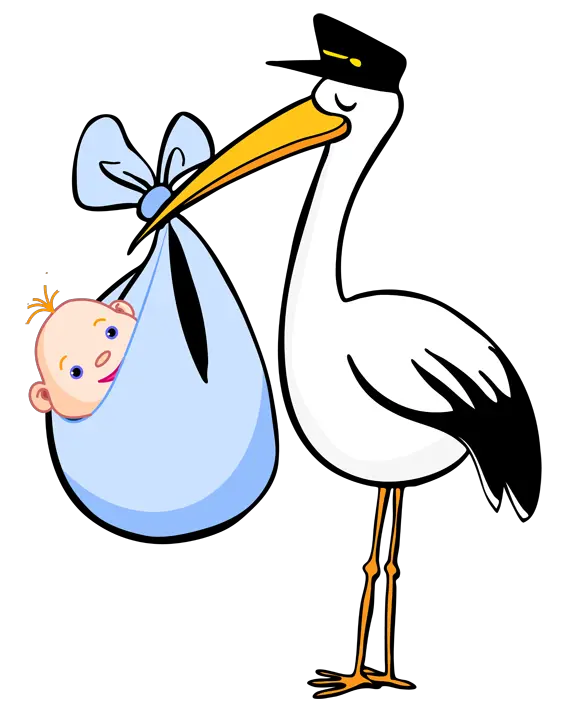 stork baby PNG