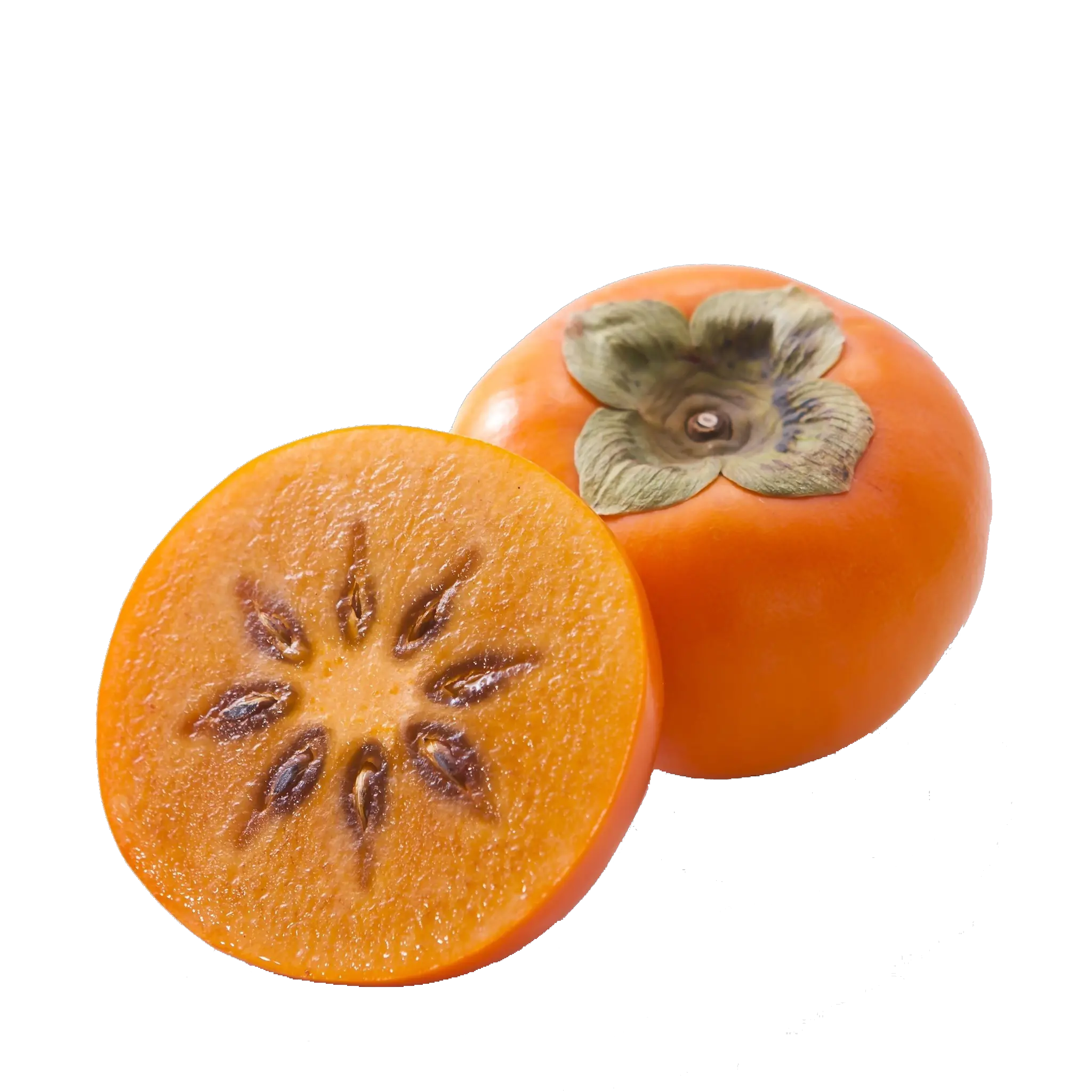 Persimmon PNG