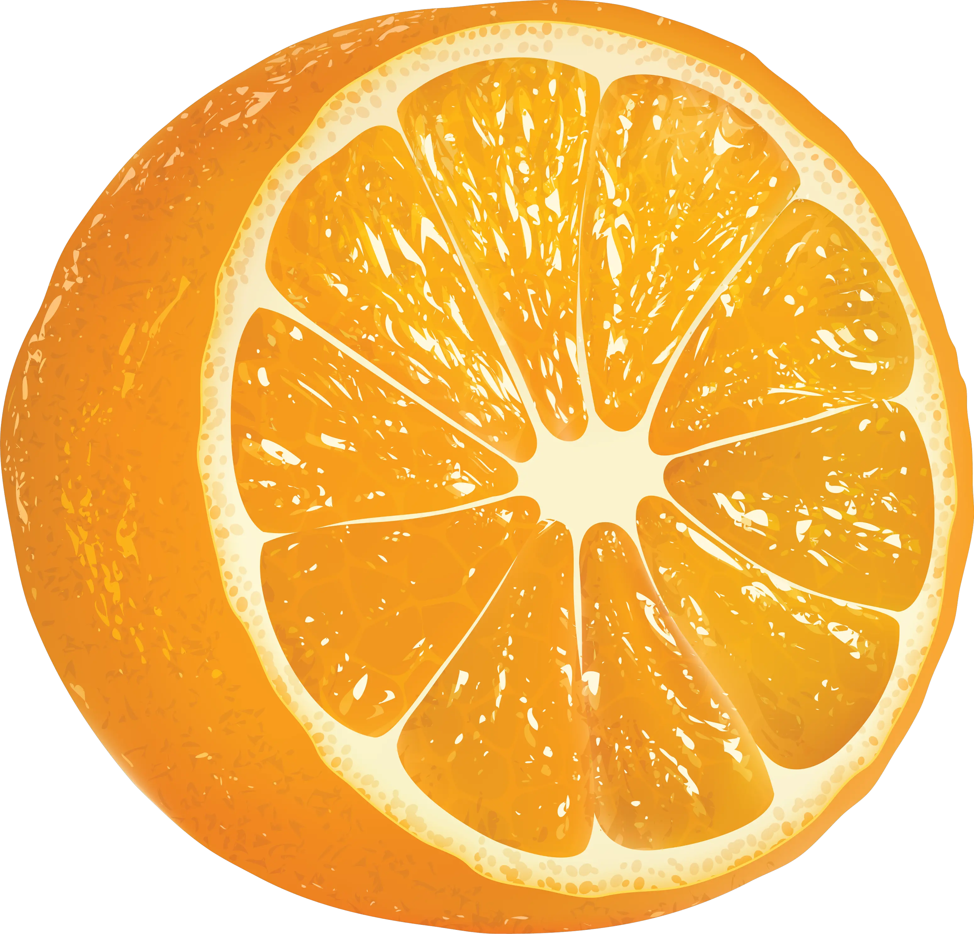 cut orange PNG
