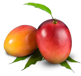 Mango PNG image