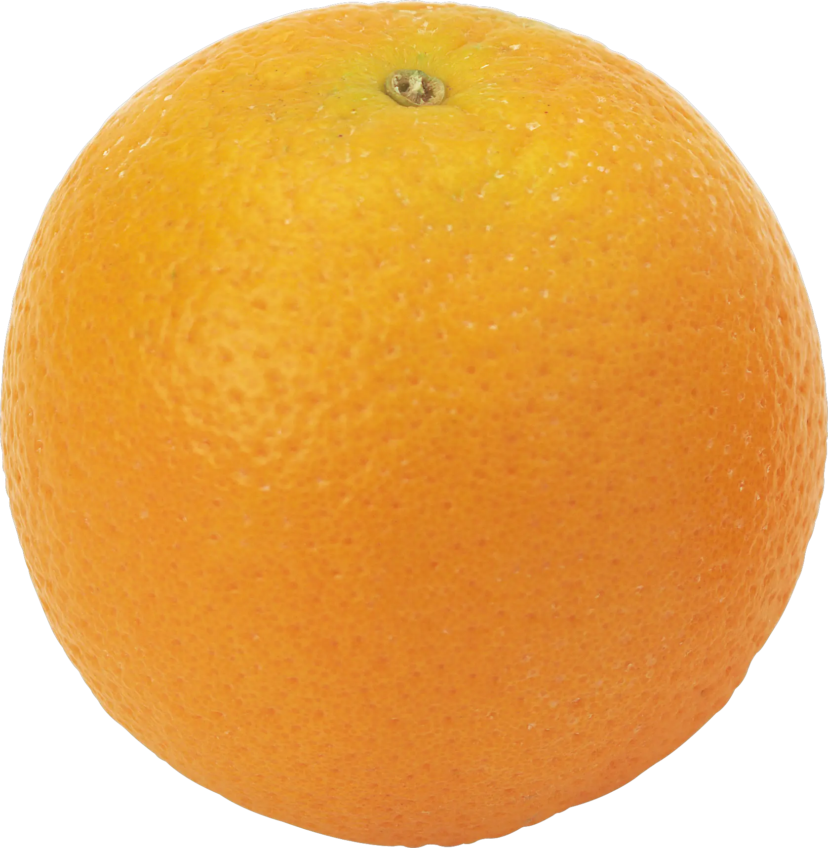 Orange PNG image free download