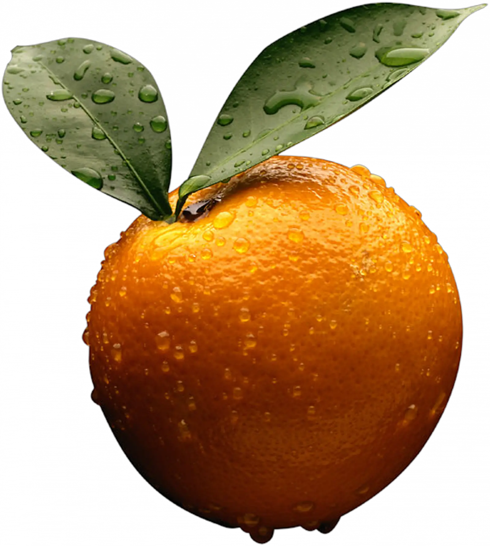 Orange photo PNG image
