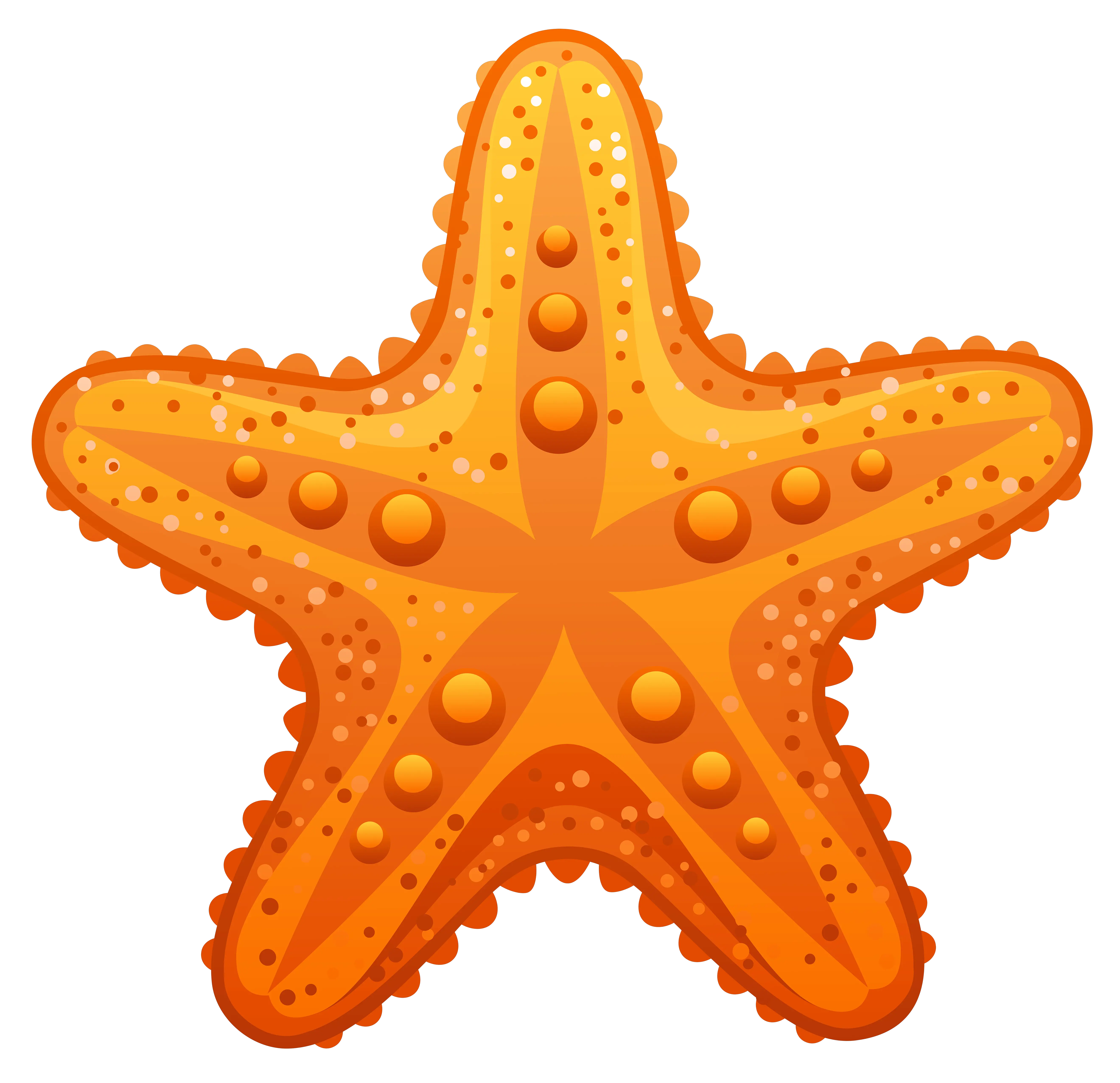 Starfish PNG