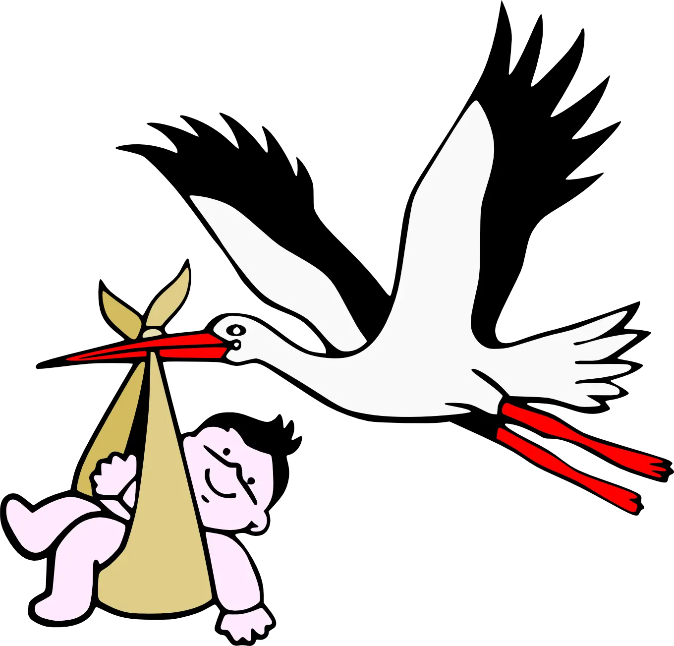 stork baby PNG