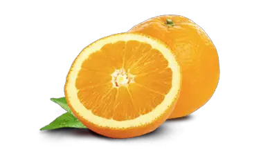 Orange PNG image free download