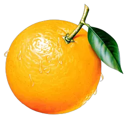 Orange with leaf PNG