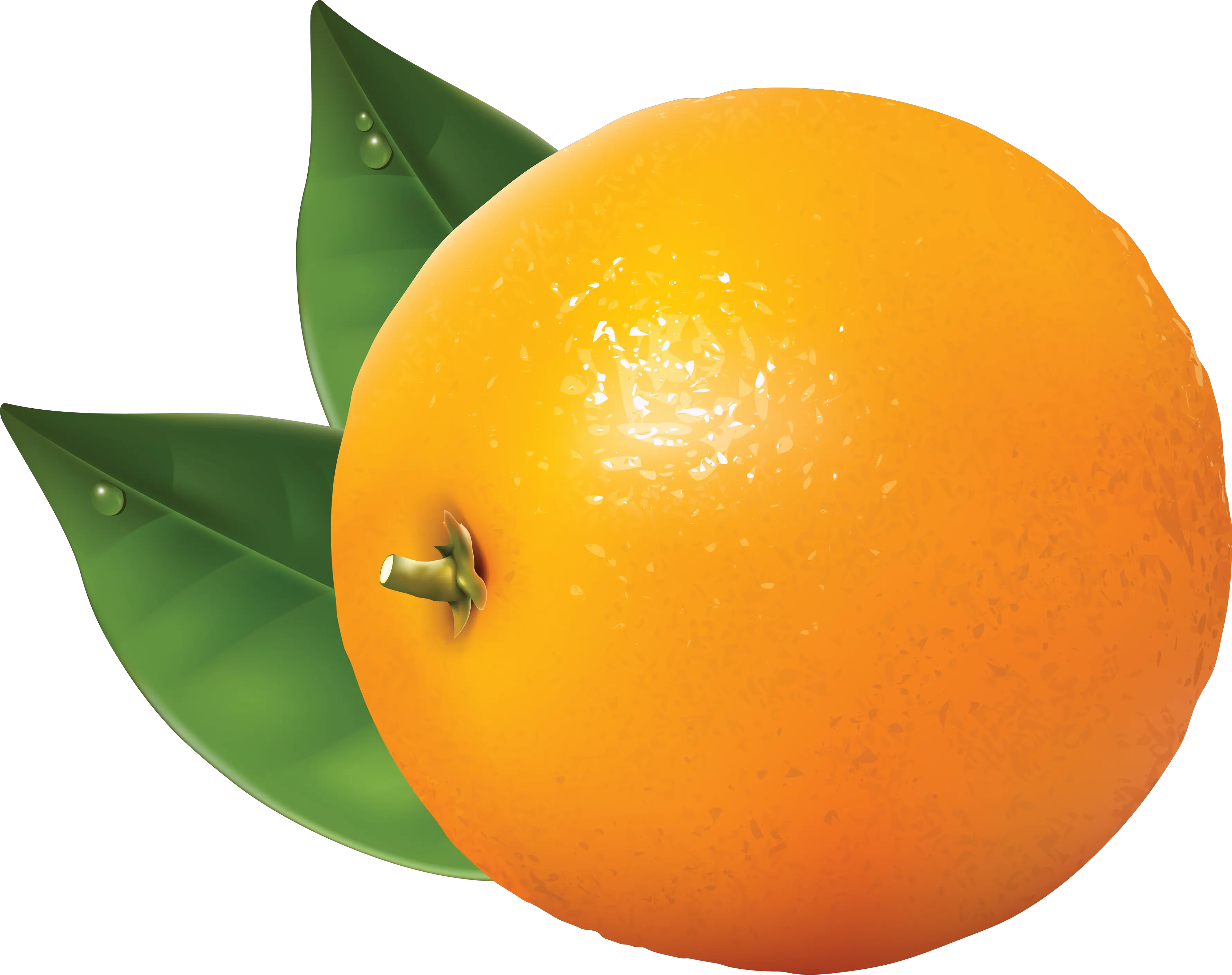 Orange PNG image with gree leaves