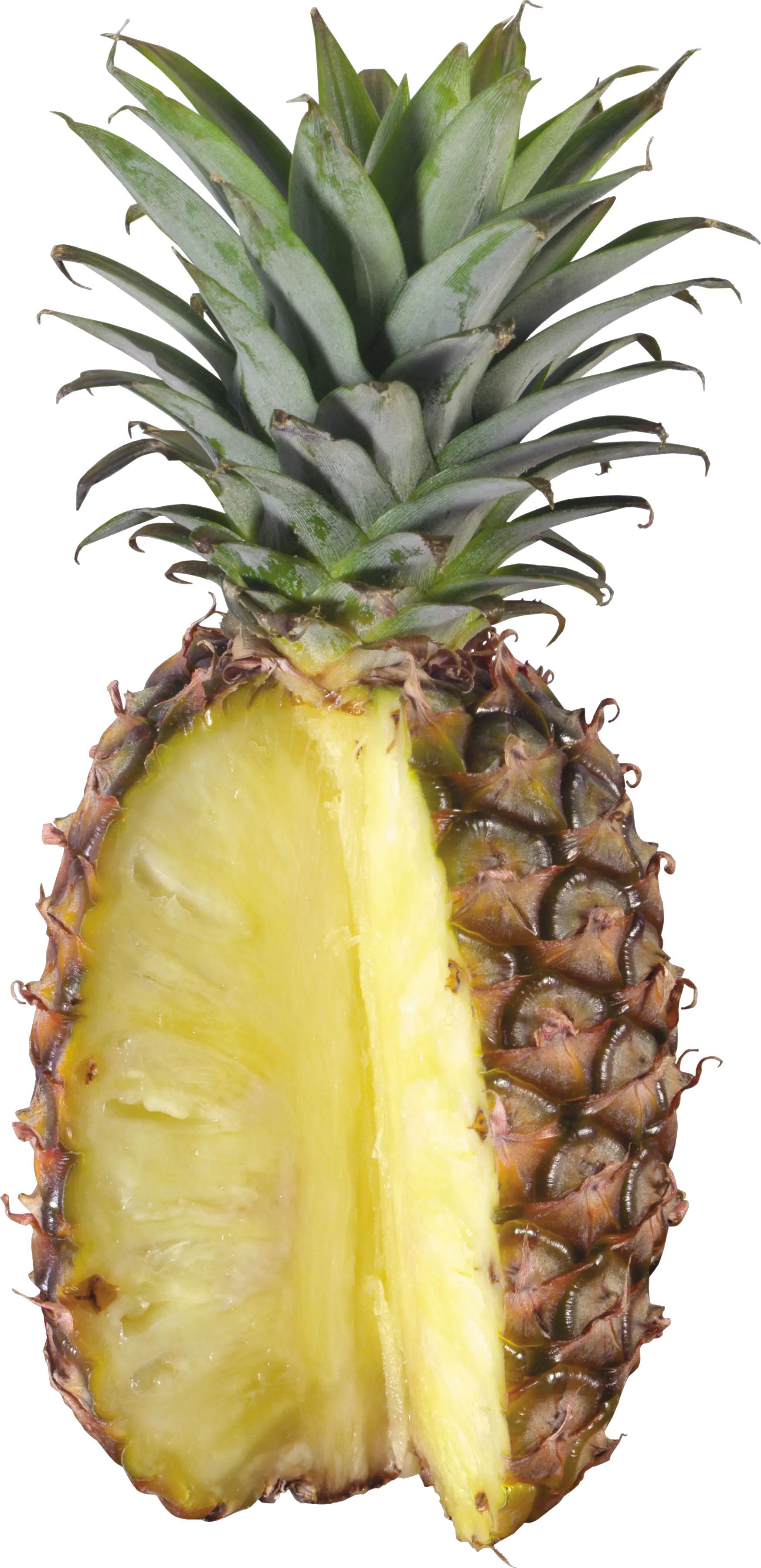 Pineapple PNG image free download