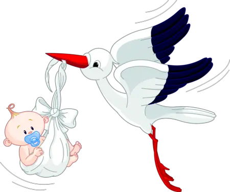 stork baby PNG