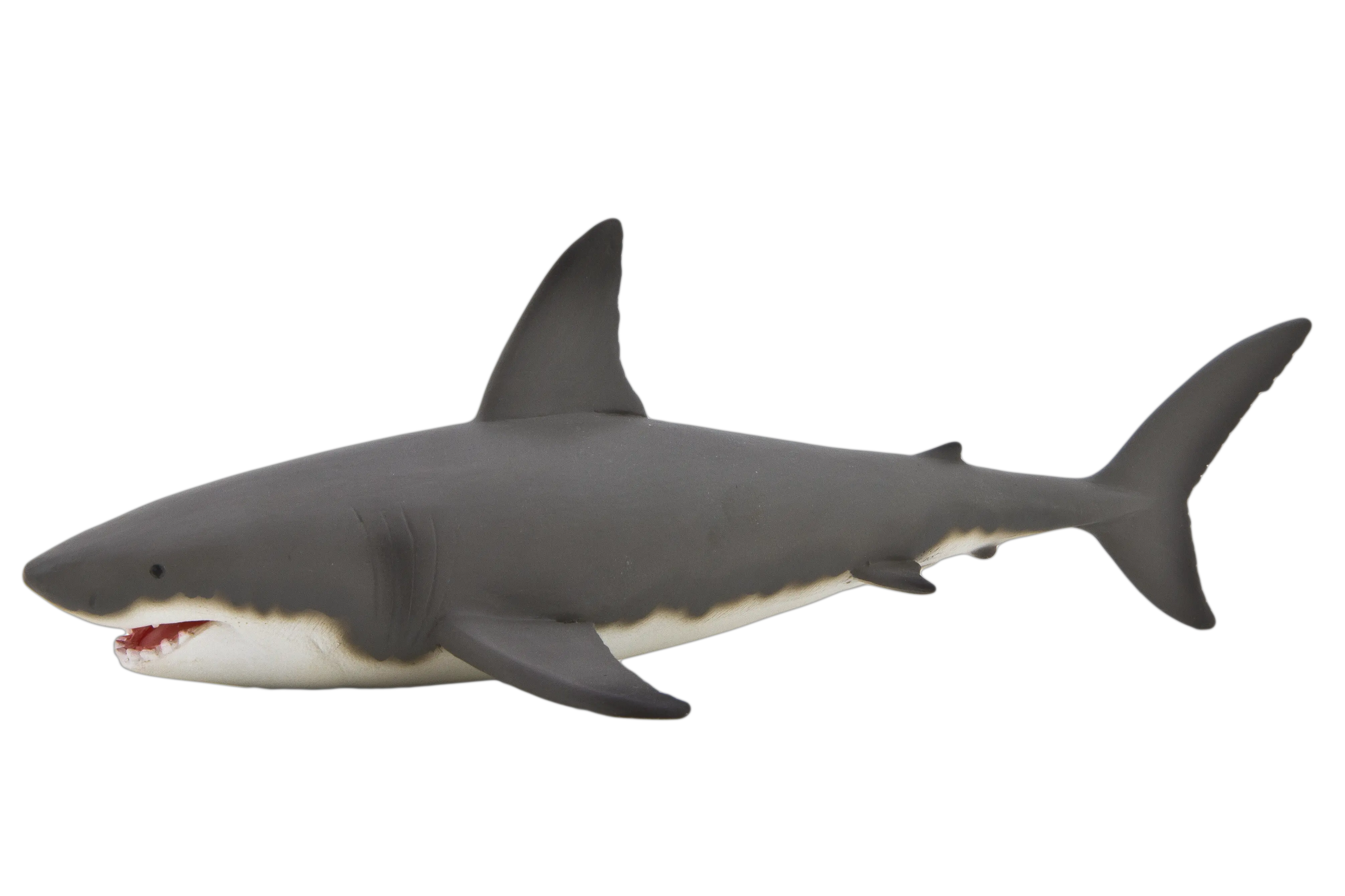 Shark PNG