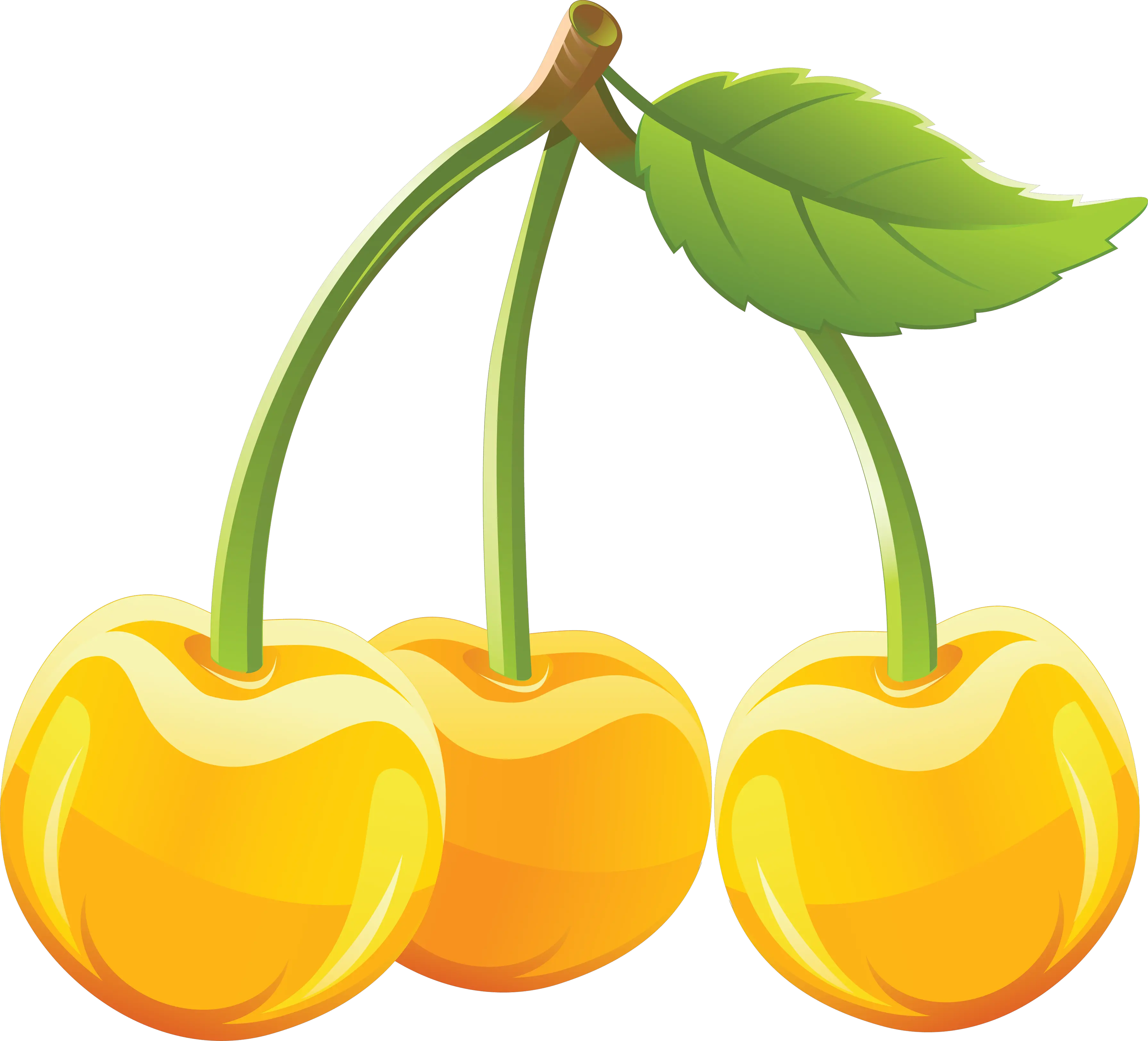 cherry PNG image