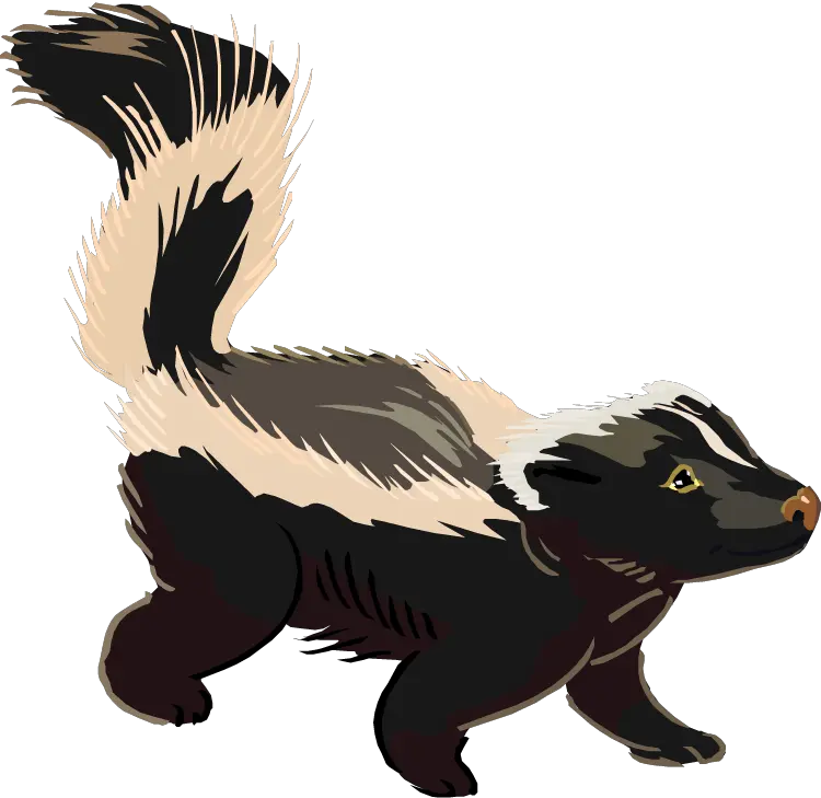 Skunk PNG