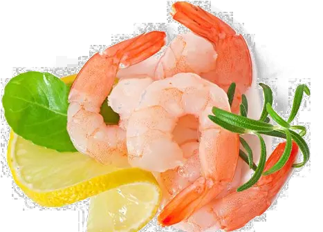 Shrimp PNG image