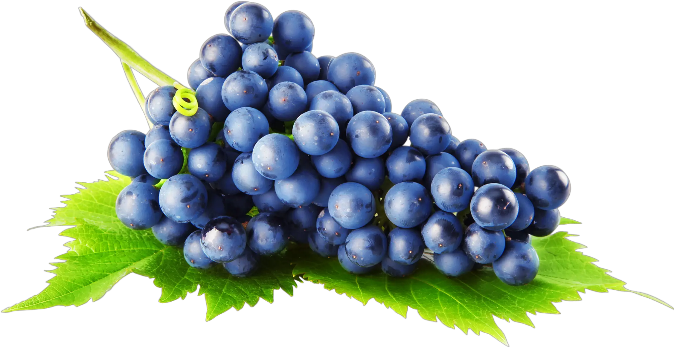Grape PNG image
