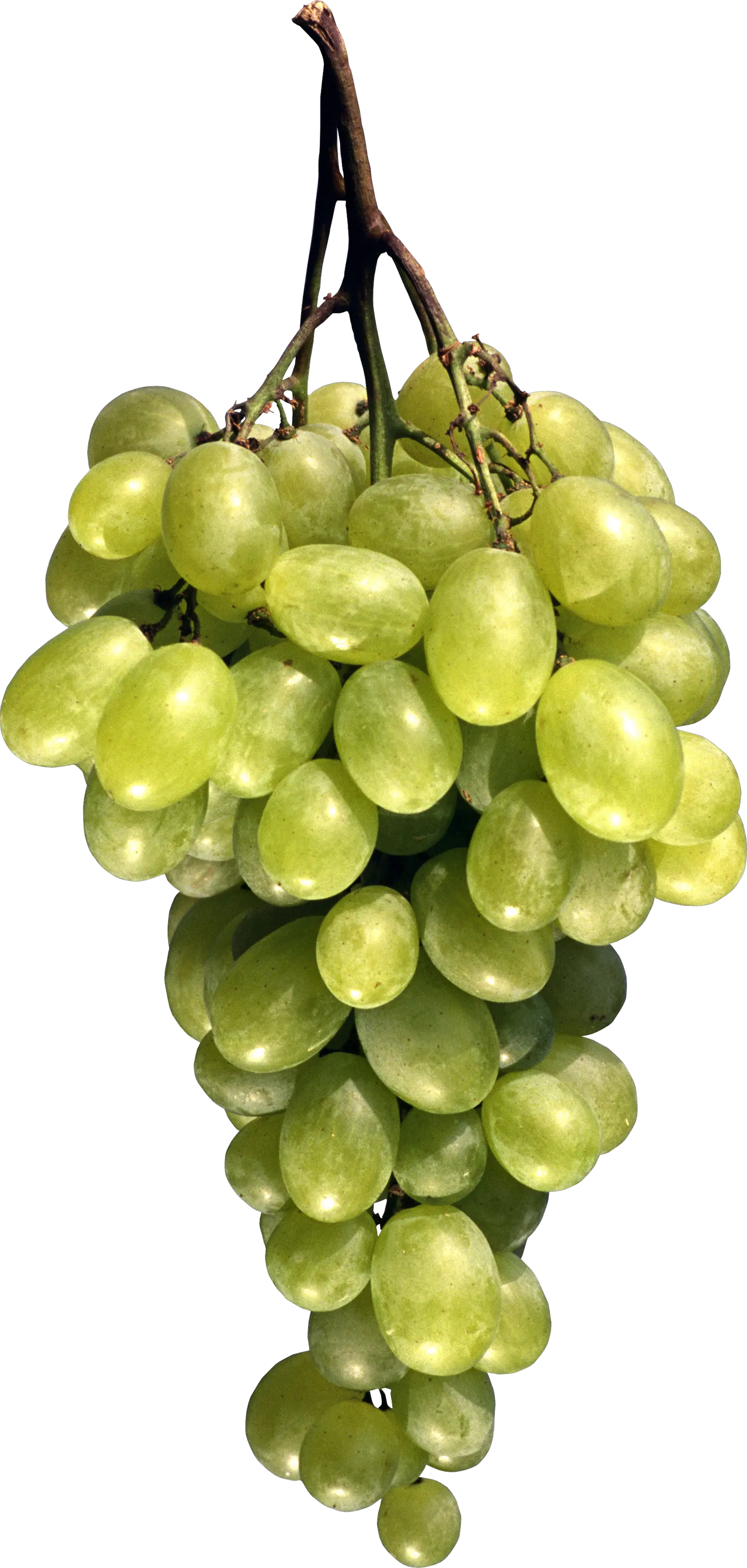 Grape PNG image download free picture
