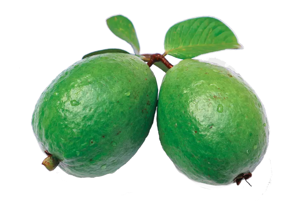 Guava PNG