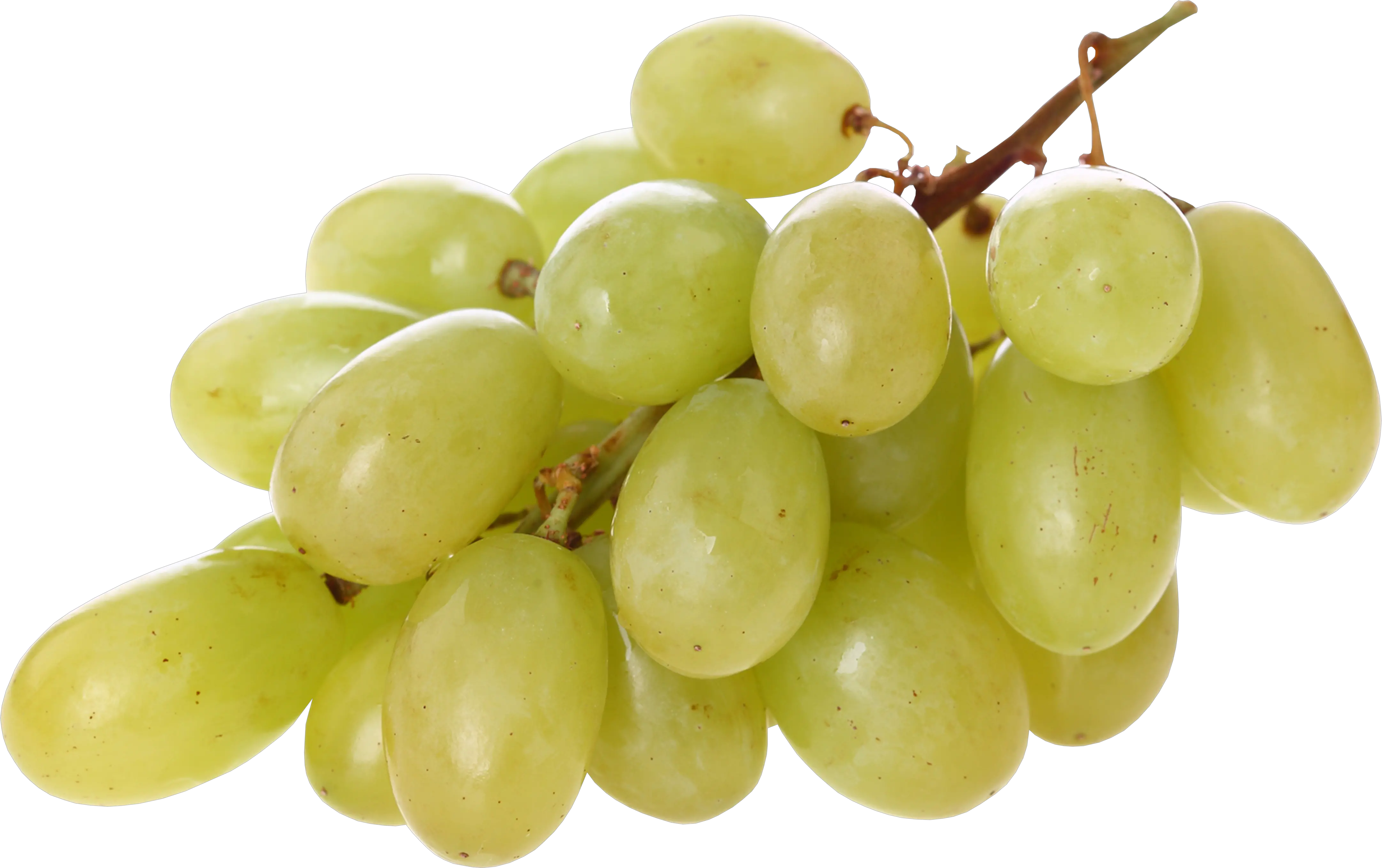 Grape PNG image