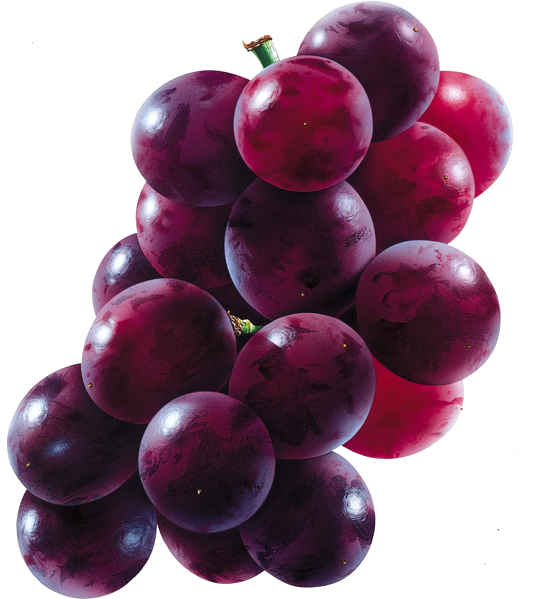 Red grape PNG image