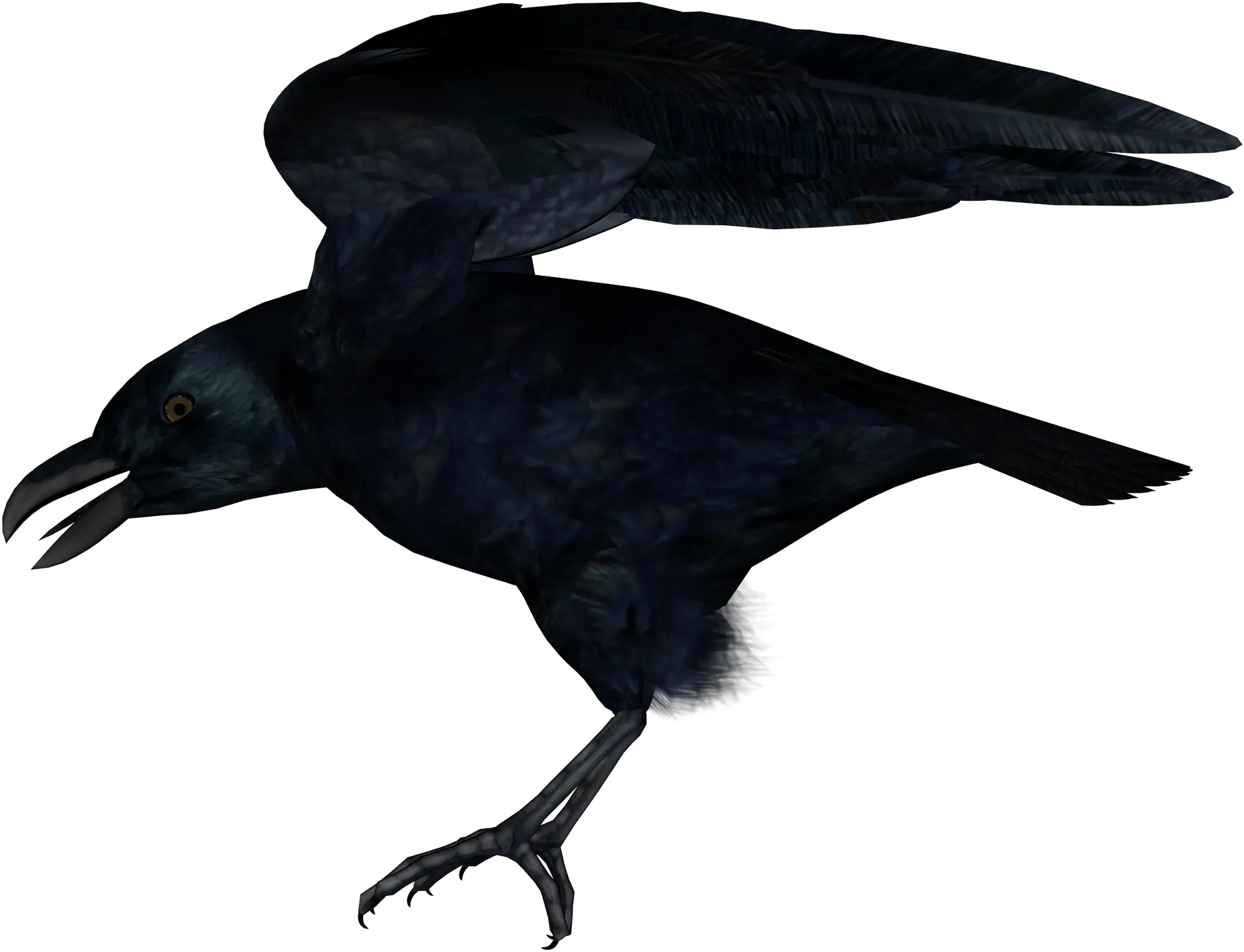 Raven PNG