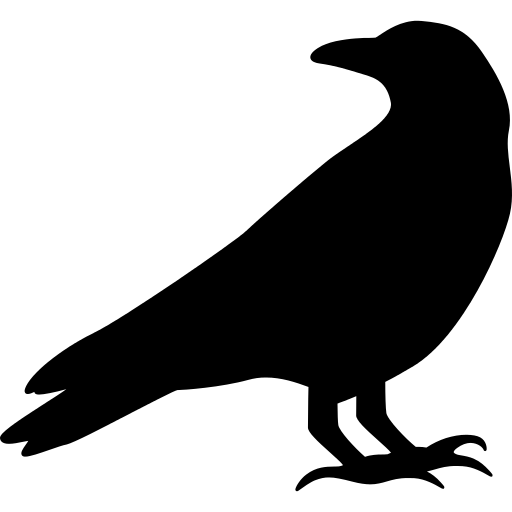 Raven PNG