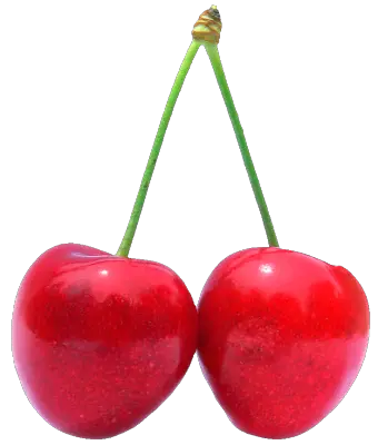 red cherry PNG image free download