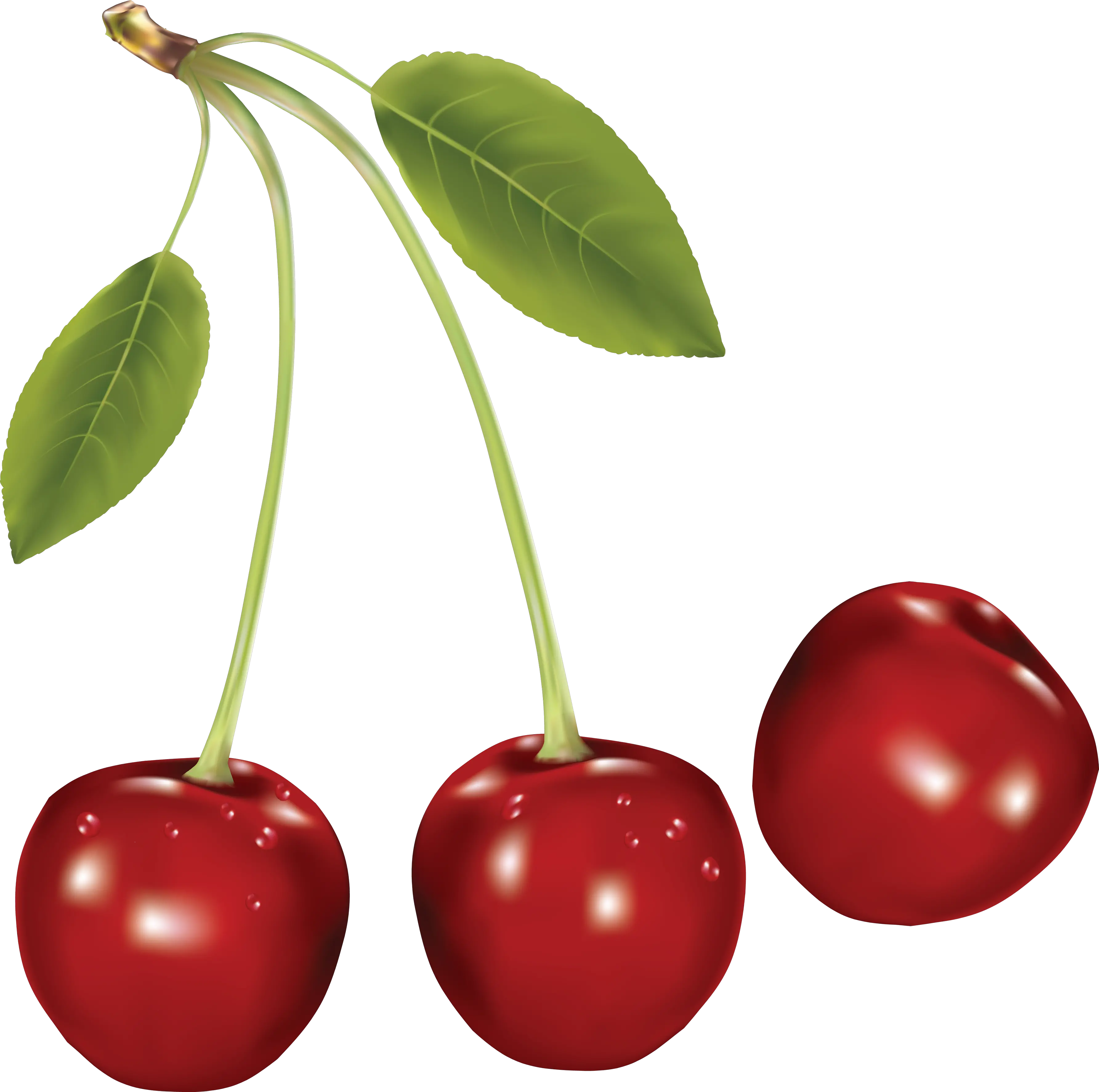 cherries PNG image