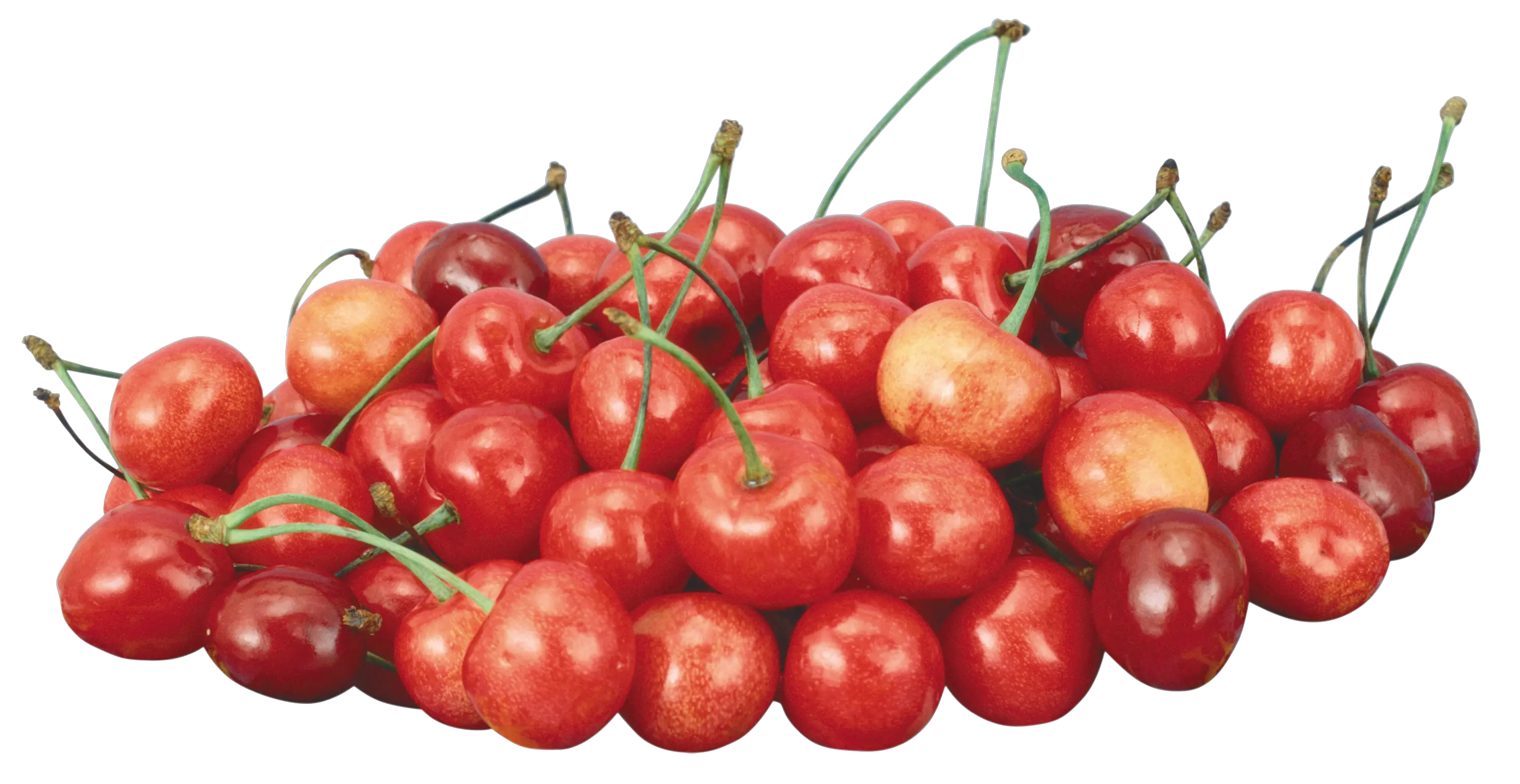 red cherry PNG image free download