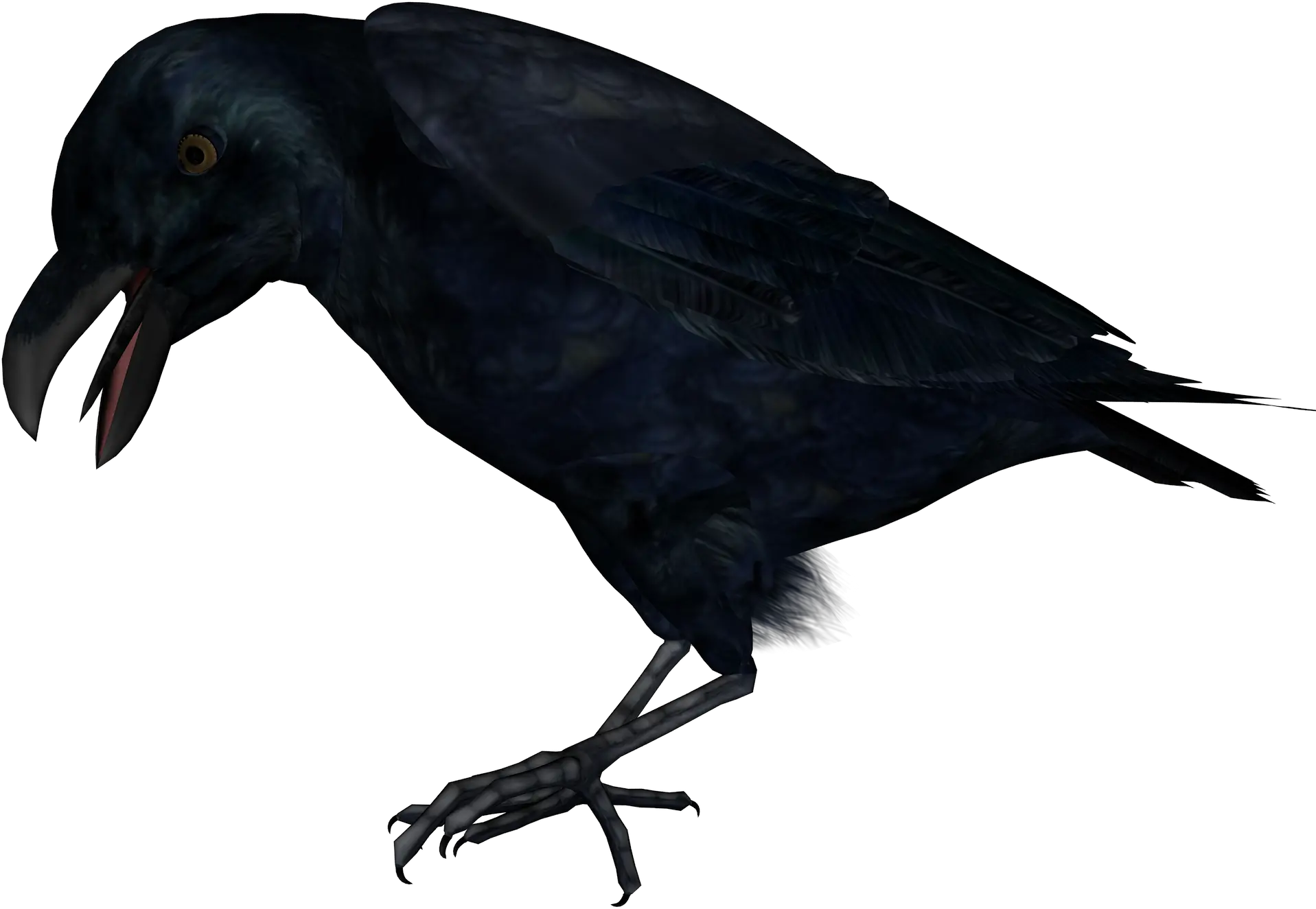 Raven PNG