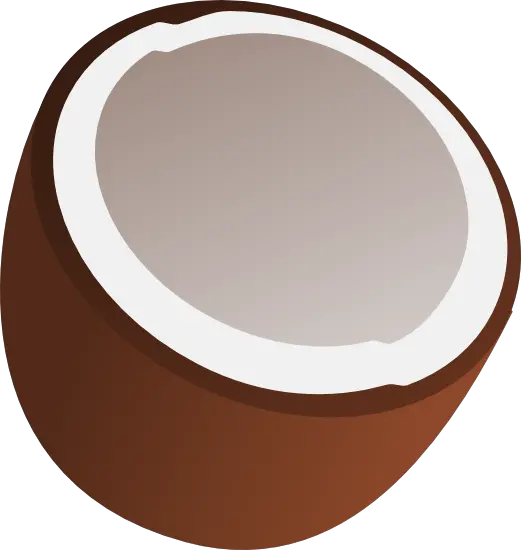 Coconut PNG image