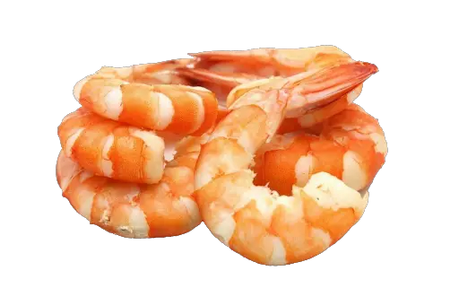 Shrimps food PNG image