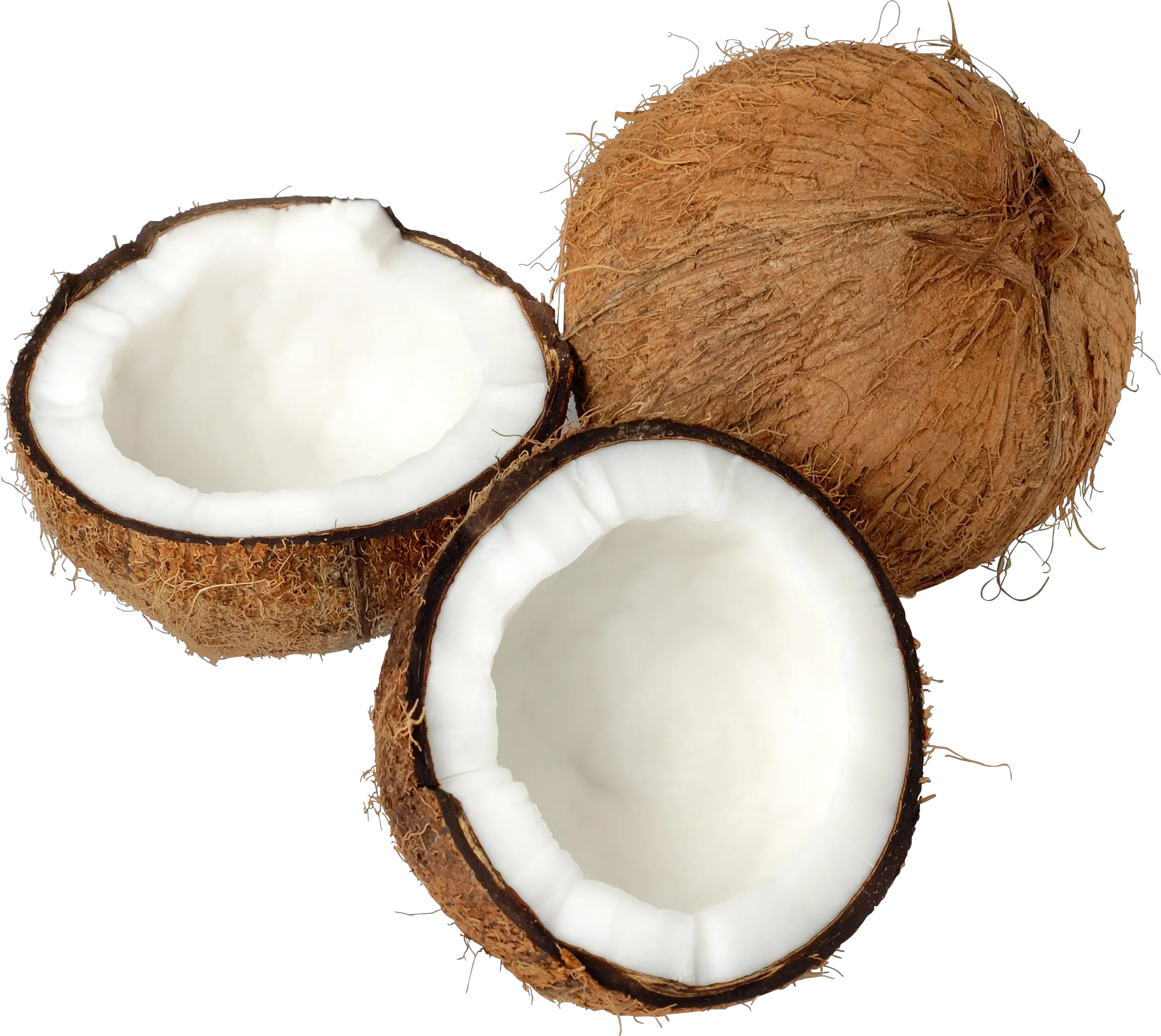 Coconut PNG image