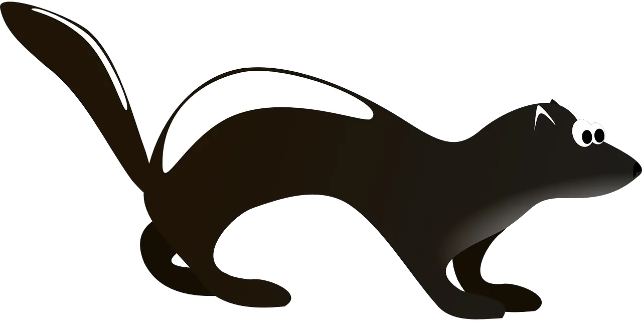 Skunk PNG