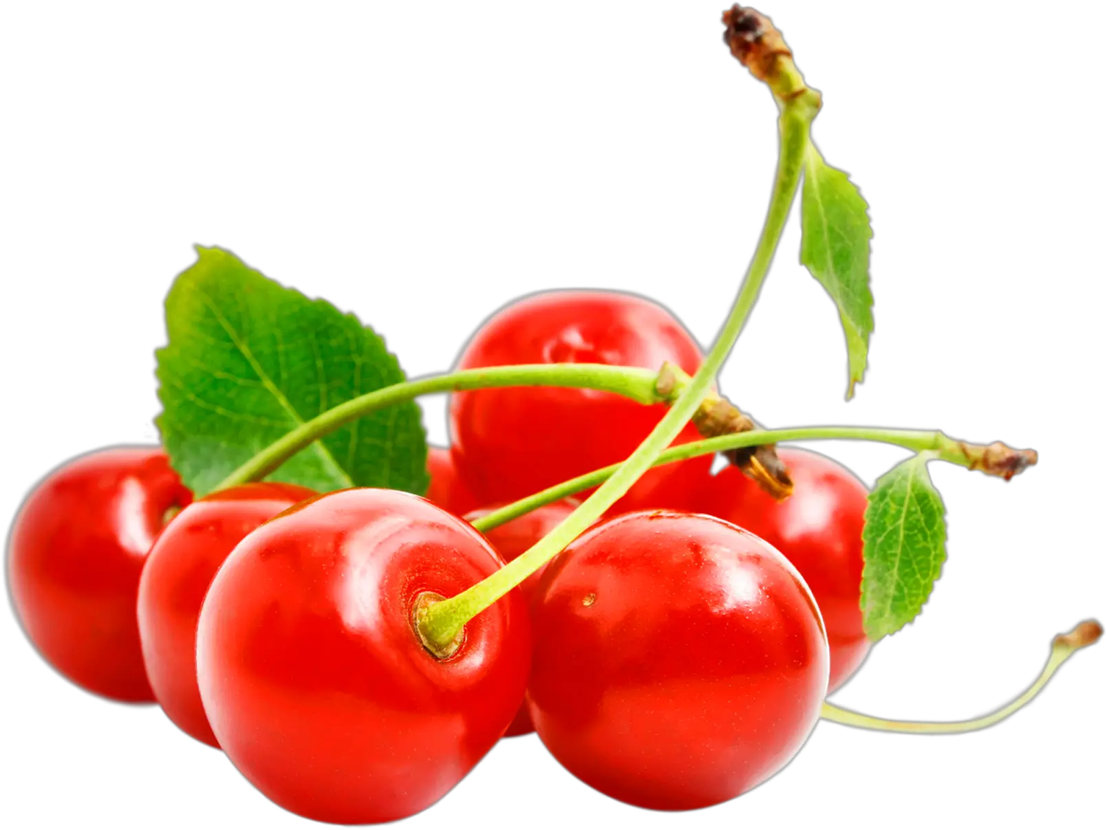 red cherry PNG image free download