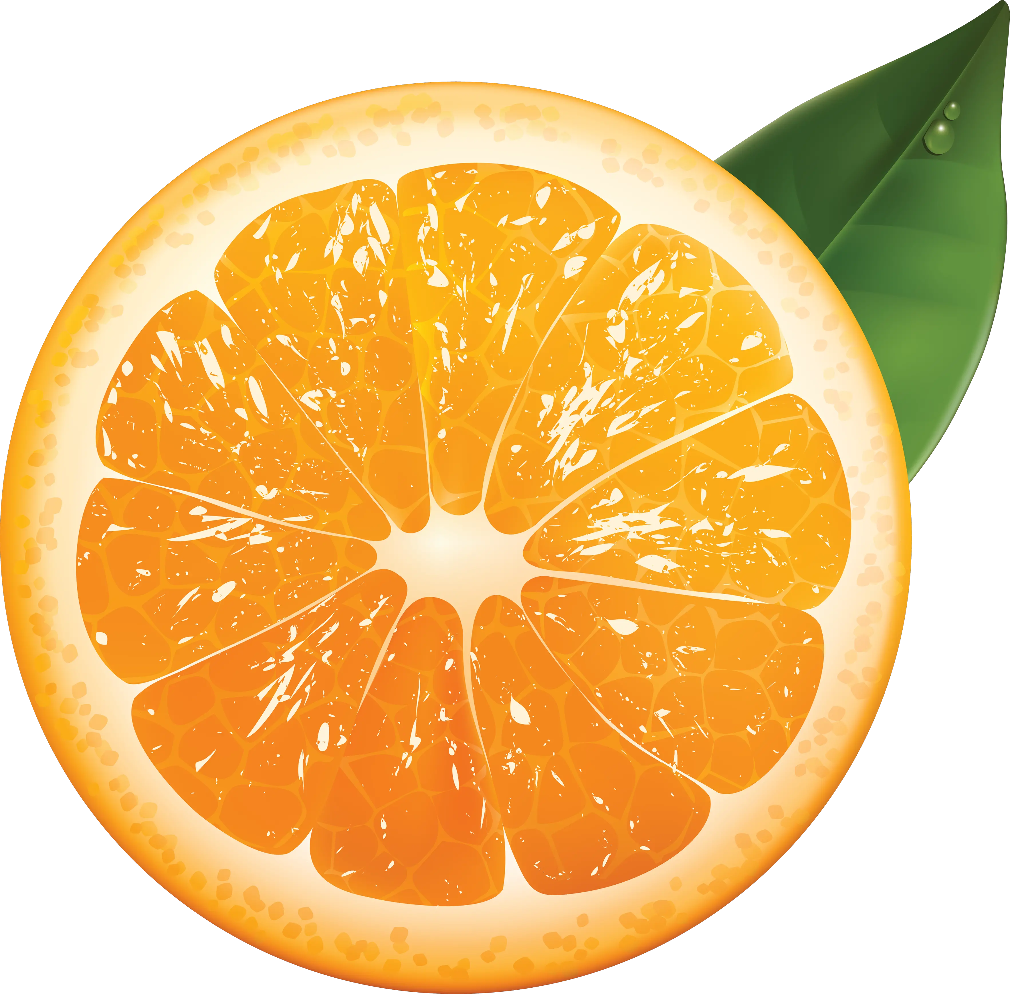 Orange cut PNG