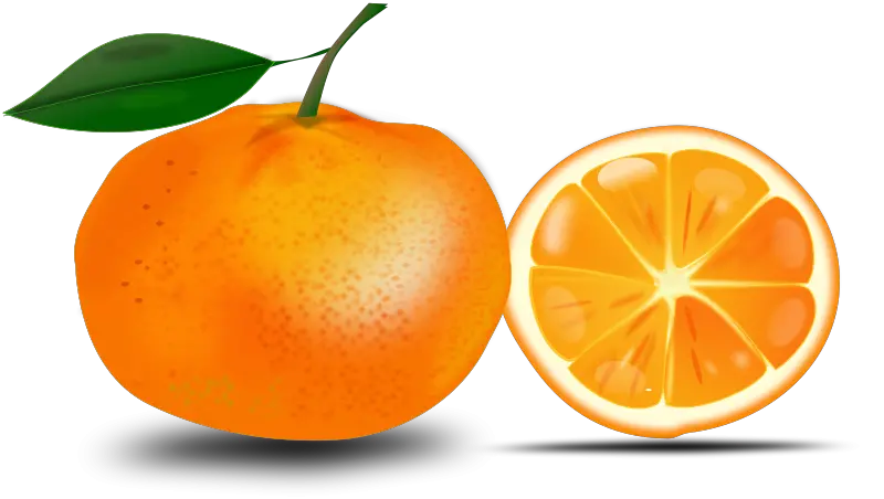 Orange PNG image free download