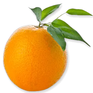 Orange with leaves PNG image