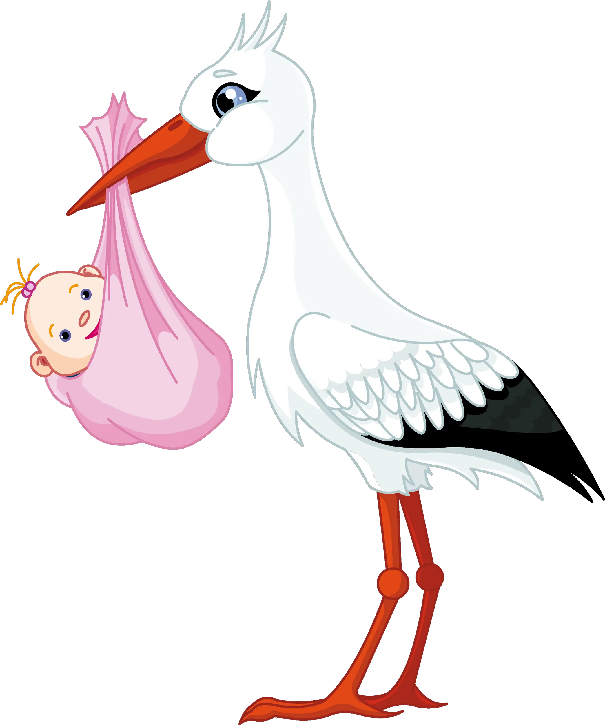 stork baby PNG