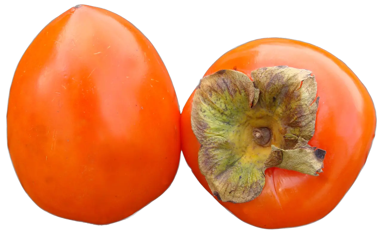 Persimmons PNG image