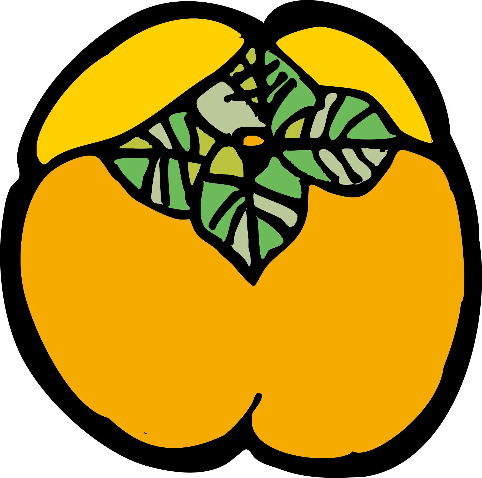 Persimmon PNG