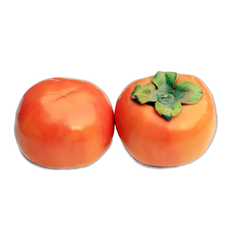 Persimmon PNG