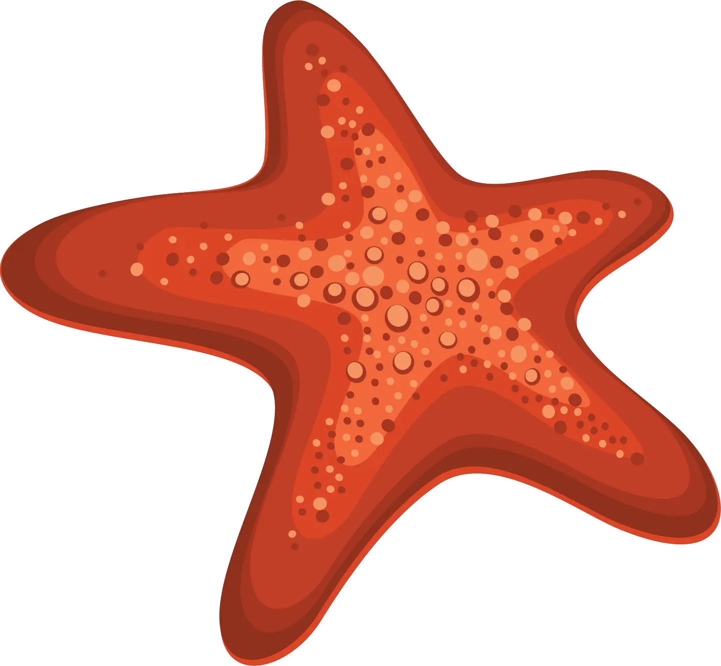 Starfish PNG