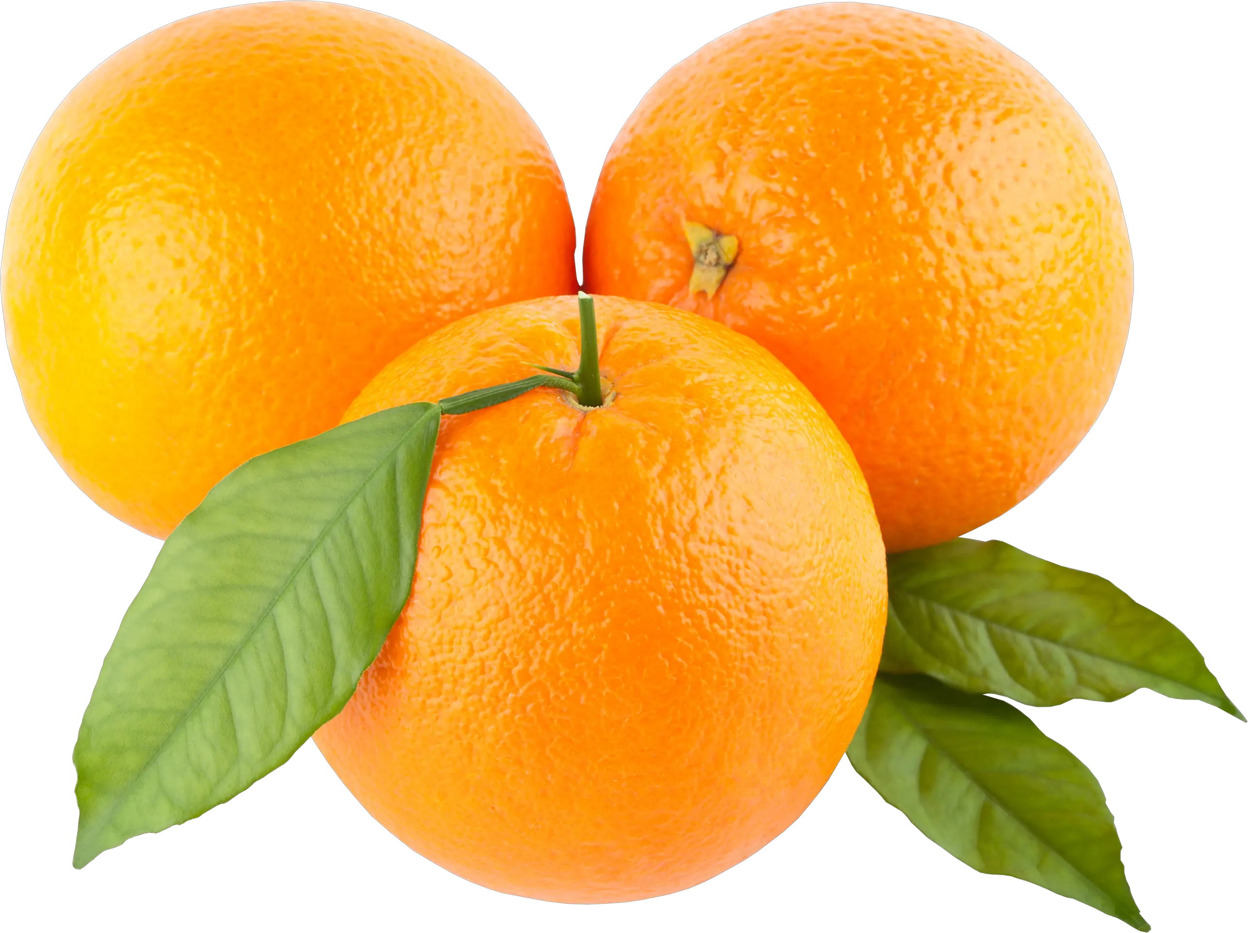 three oranges with leaves PNG image