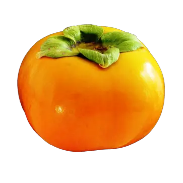 Persimmon PNG image