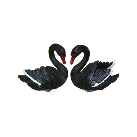 Black swan PNG