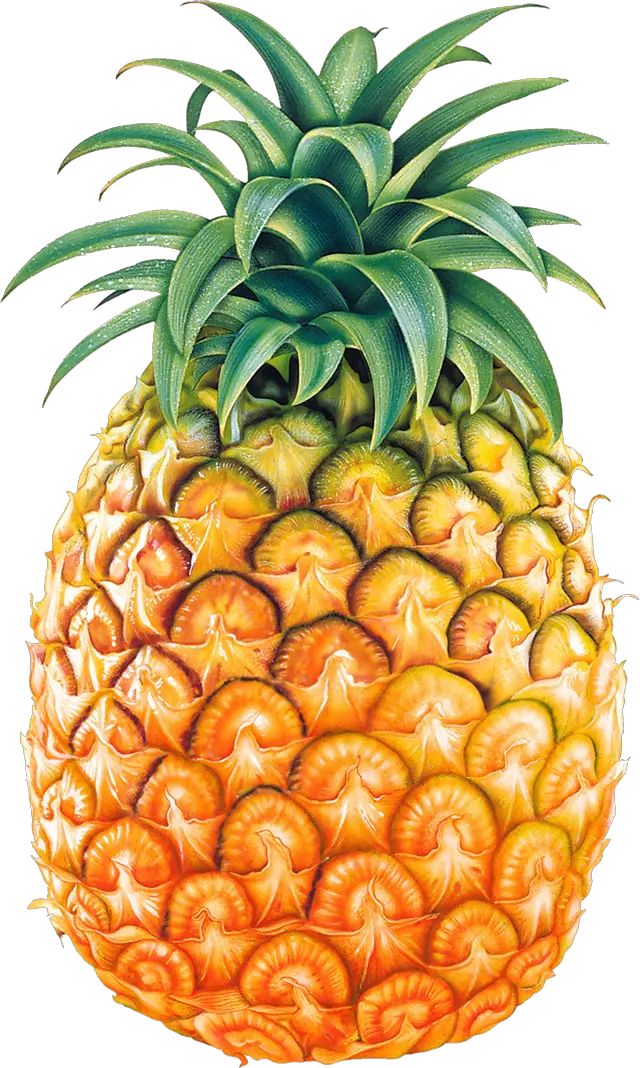 Pineapple PNG image free download