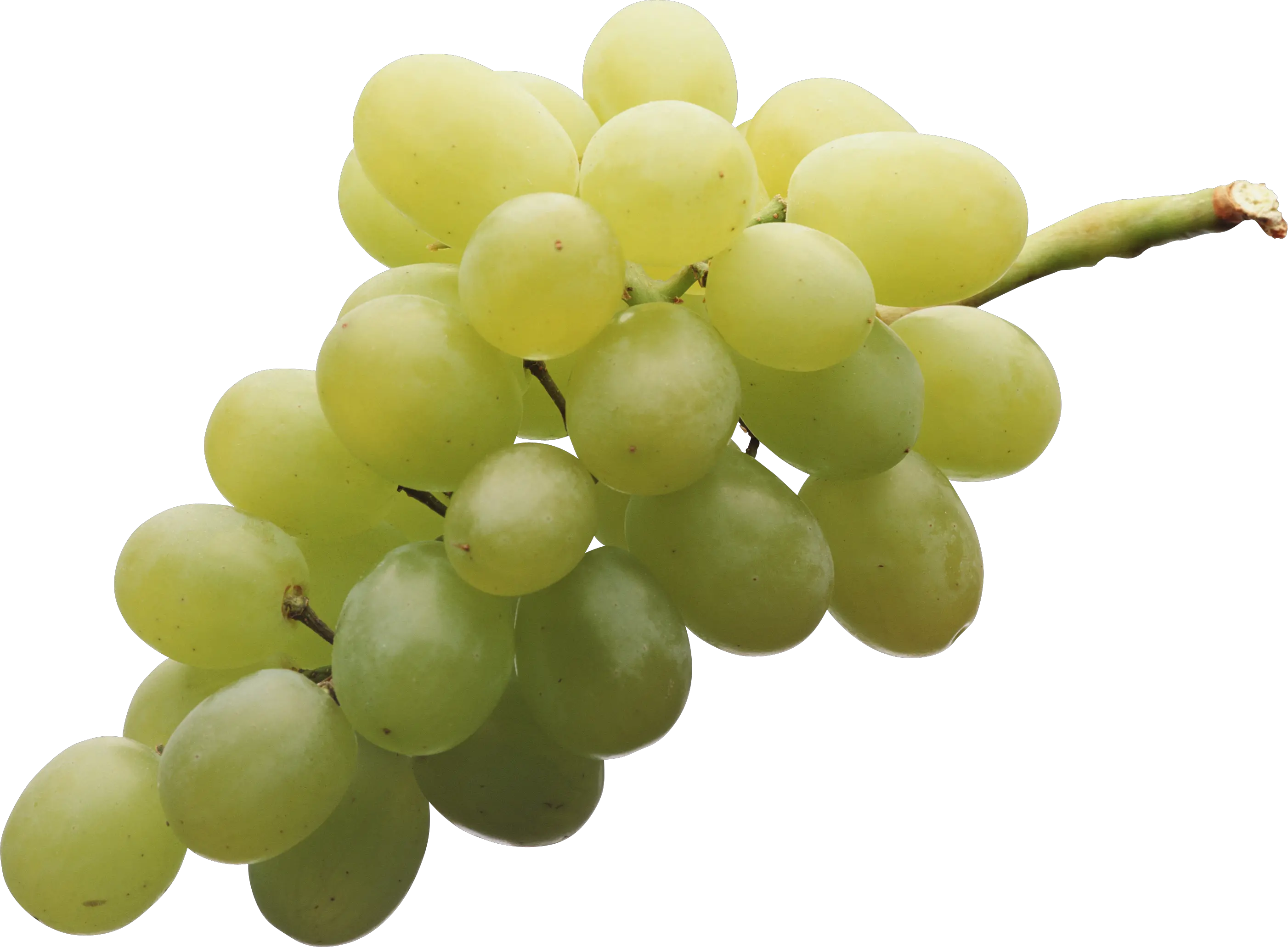 Green grape PNG image