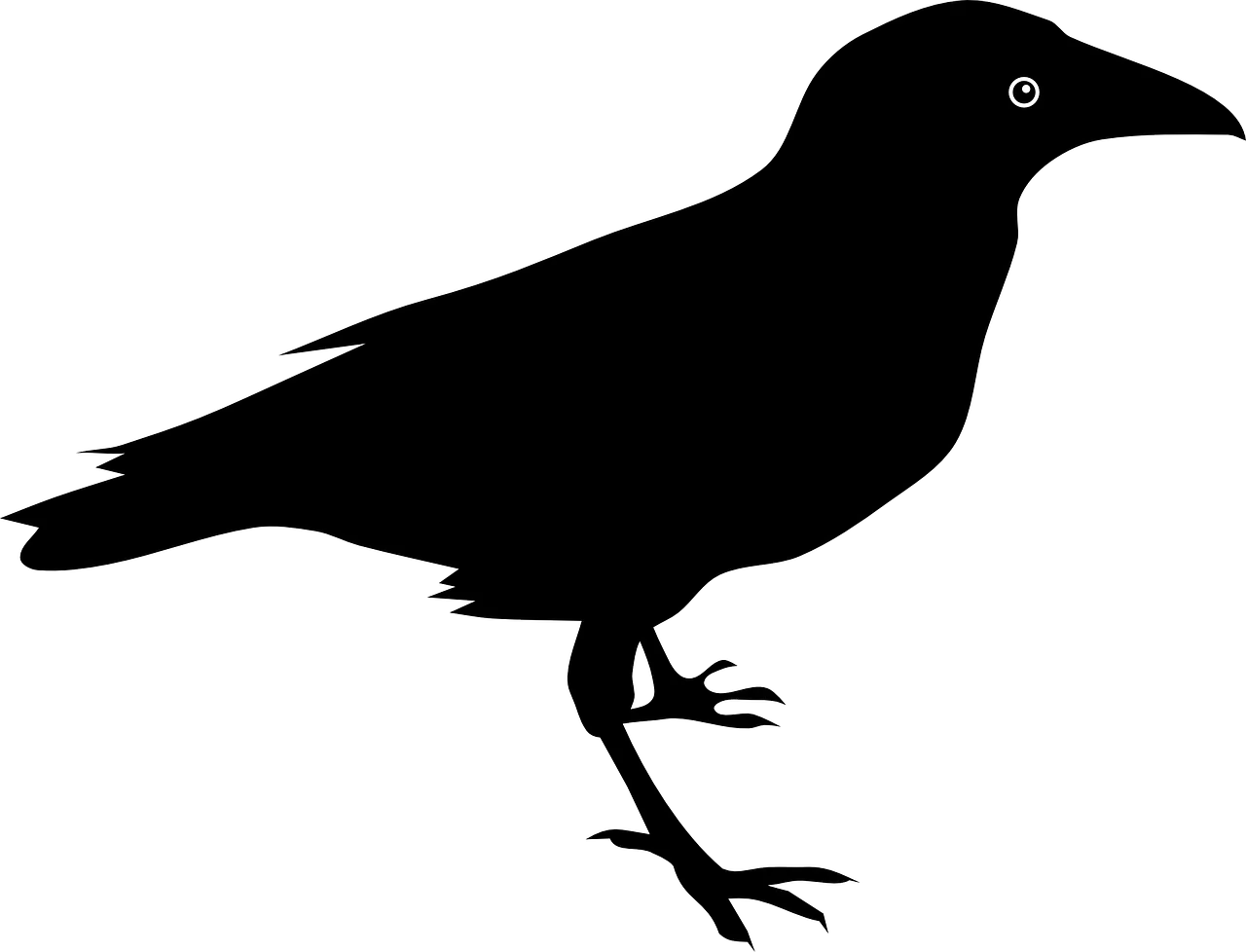 Raven PNG