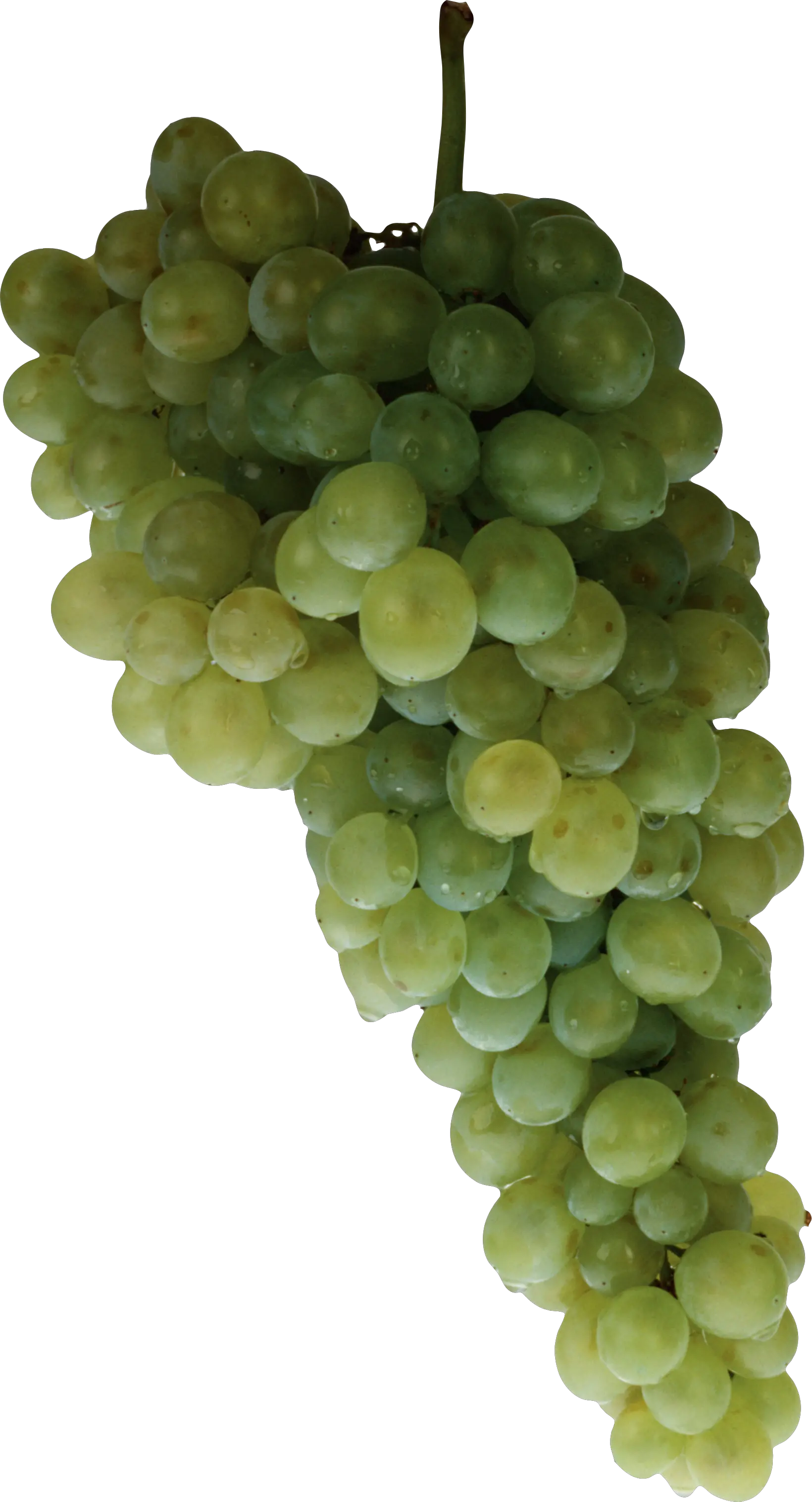 Green grape PNG image