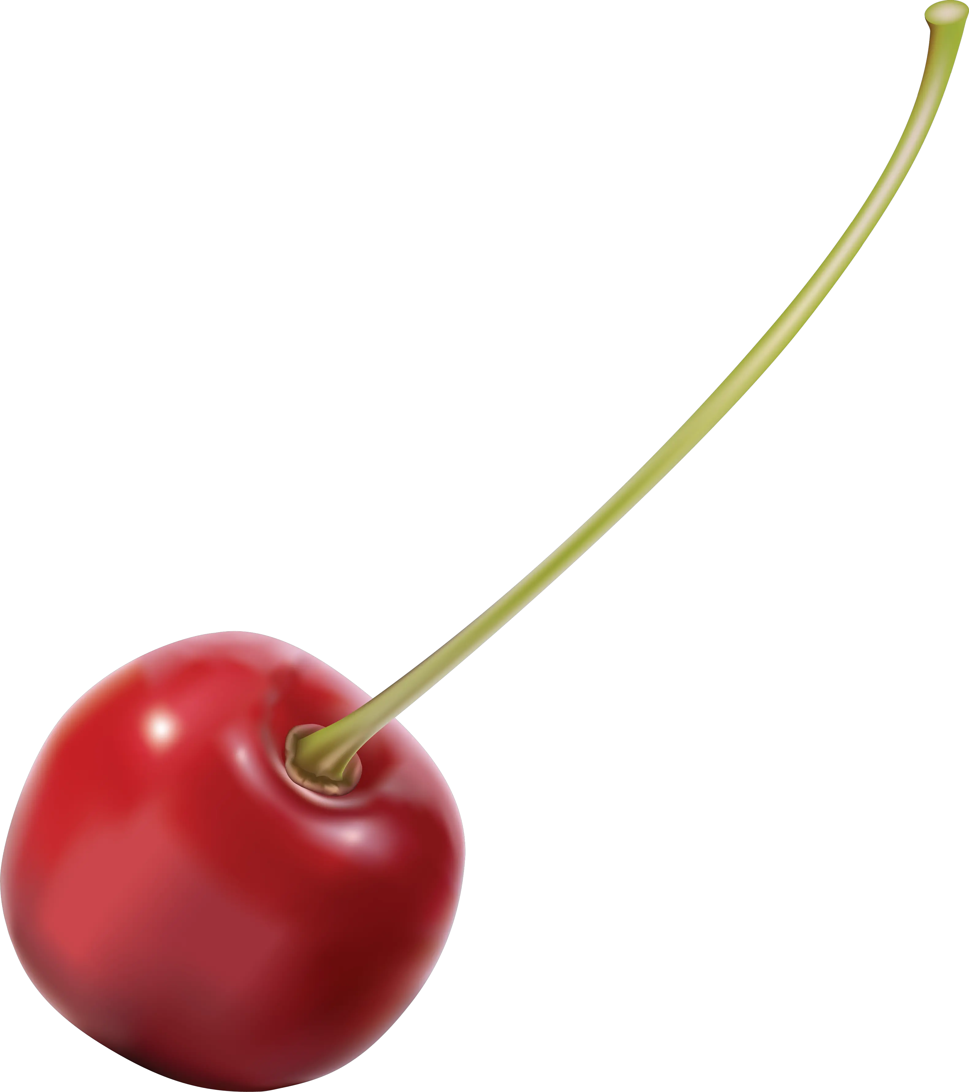 cherry PNG image